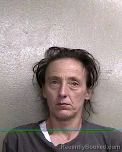 Mugshot of Paula Dianna Bass booked in Taylor County, Florida on September 8, 2026