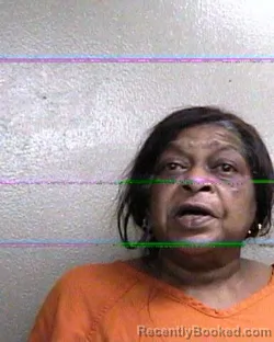 Mugshot of Peggy Lee Bellamy booked in Taylor County, Florida on September 11, 2026