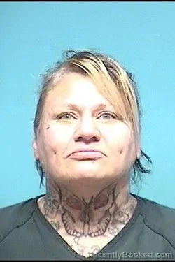 Booking photo from Lorain County, Ohio