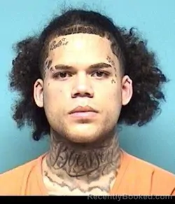 Booking photo from Lorain County, Ohio