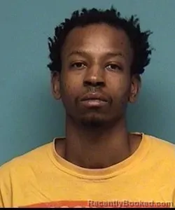 Mugshot of JAHLEI CALIQUE MARTIN