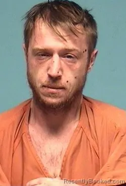 Mugshot of HAWK MCCLINTOCK