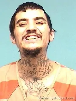 Mugshot of STEVEN A JOHNSON