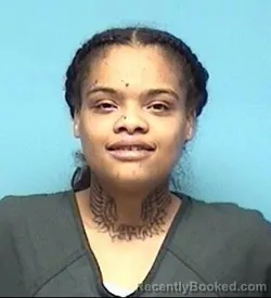 Mugshot of DI MANI ELIESE MCCALL