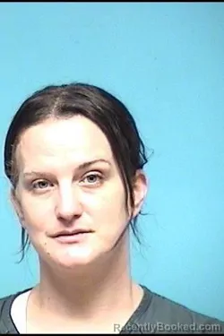 Mugshot of HEATHER L ANDERSON