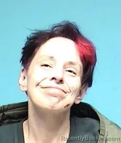 Mugshot of LINDSEY A FALK