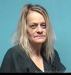 Mugshot of DEBBIE S SWARTZ