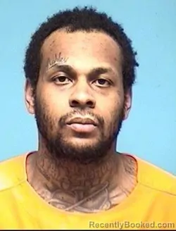 Mugshot of LARRY LAWSON