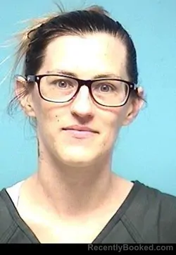 Mugshot of BRIDGETT L DONOVAN