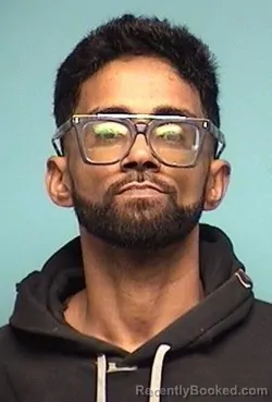 Mugshot of JORGE LUIS LLANOS