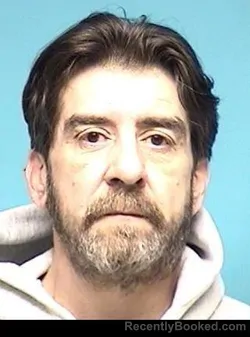 Mugshot of BRIAN CAMARILLO