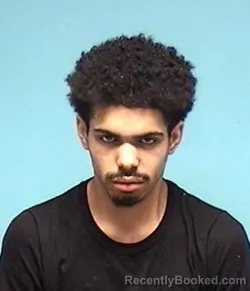 Mugshot of JAAIRE BRIDGES
