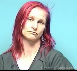 Mugshot of TANYA KAY HICKS