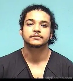 Mugshot of W J HINSON