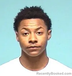 Mugshot of FRANKIE LEE FIELDS