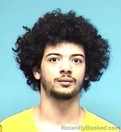 Mugshot of STEPHION A PENNY