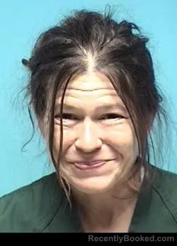 Mugshot of JEAN STOTZER booked in Lorain County, Ohio on April 4, 2026