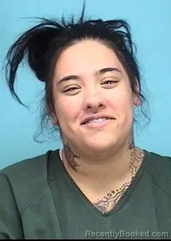 Mugshot of MONICA P TOMECKO booked in Lorain County, Ohio on April 8, 2026