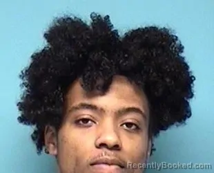 Mugshot of JAYVYN BROWN booked in Lorain County, Ohio on April 11, 2026