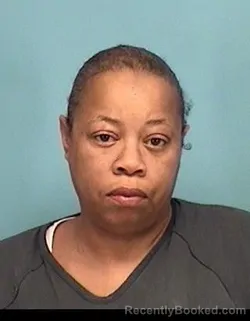 Mugshot of LATOYA DANYELL PERKINS booked in Lorain County, Ohio on April 20, 2026