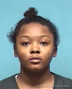 Mugshot of KANISHA I STONE-SMOUSE booked in Lorain County, Ohio on April 22, 2026