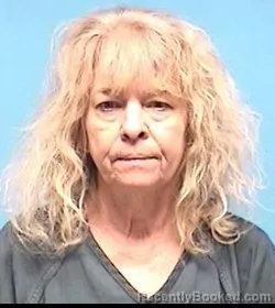 Mugshot of TERRI L VANCE booked in Lorain County, Ohio on May 3, 2026