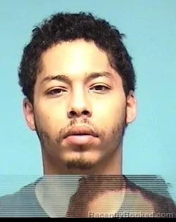 Mugshot of ZACHARY N HARRIS booked in Lorain County, Ohio on May 30, 2026