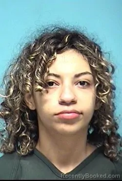Mugshot of NADIA M ALVAREZ booked in Lorain County, Ohio on June 3, 2026