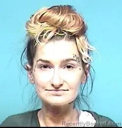 Mugshot of HAYLEY NOVAK booked in Lorain County, Ohio on June 16, 2026