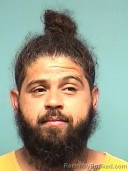 Mugshot of SEAN A YOUNG booked in Lorain County, Ohio on June 20, 2026