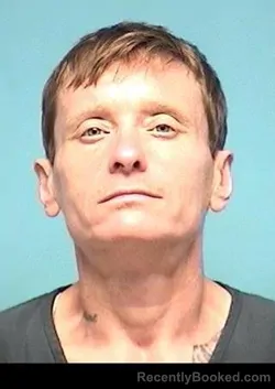 Mugshot of Danielle L Wells booked in Lorain County, Ohio on July 10, 2026