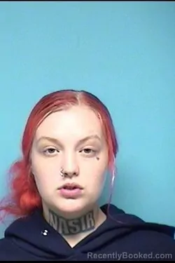 Mugshot of Sabrina Elsleger booked in Lorain County, Ohio on July 22, 2026