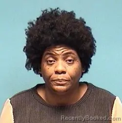 Mugshot of Alfreda A Scott booked in Lorain County, Ohio on July 27, 2026