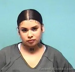 Mugshot of Javianna C Reyna booked in Lorain County, Ohio on August 5, 2026
