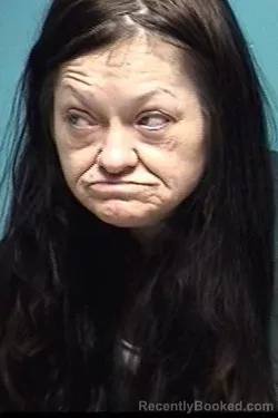Mugshot of Coleen R Roop booked in Lorain County, Ohio on August 28, 2026