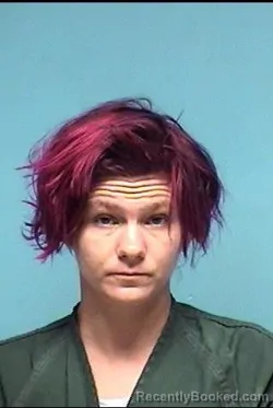 Mugshot of Rebecca L Yanks booked in Lorain County, Ohio on August 29, 2026