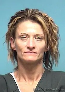 Mugshot of Patricia L Williams booked in Lorain County, Ohio on August 30, 2026