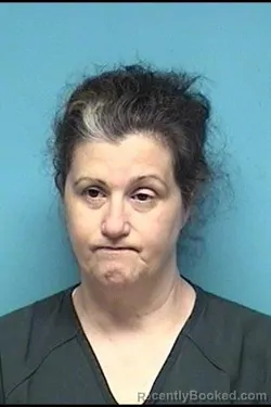 Mugshot of Michelle M Disanto booked in Lorain County, Ohio on September 13, 2026