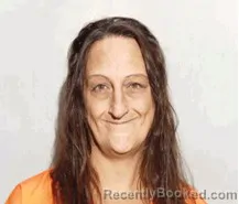 Mugshot of Ellen Kae Burgess booked in Lucas County, Ohio on August 2, 2026