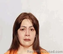 Mugshot of Silena Lyn Carmona booked in Lucas County, Ohio on August 3, 2026