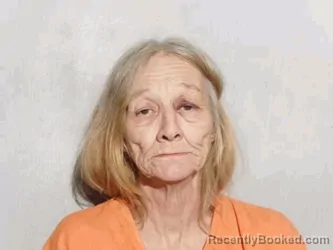 Mugshot of Shelly Dawn Dudley booked in Lucas County, Ohio on September 24, 2026