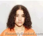 Mugshot of Deanae Dawn Eber booked in Lucas County, Ohio on June 21, 2026