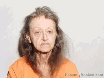 Mugshot of Vickie Ann Fry booked in Lucas County, Ohio on October 4, 2026
