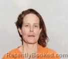 Mugshot of Jodi Lynn Gleason booked in Lucas County, Ohio on July 18, 2026