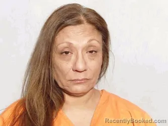 Mugshot of Lisa Ann Gonzalez booked in Lucas County, Ohio on August 23, 2026