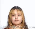 Mugshot of Marisela Denise Hernandez booked in Lucas County, Ohio on April 25, 2026