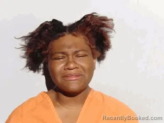 Mugshot of Skky Nicole Howard booked in Lucas County, Ohio on October 3, 2026
