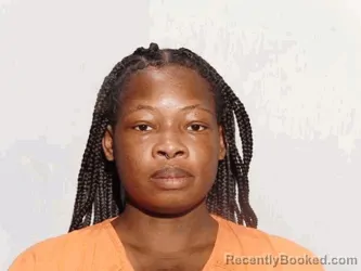 Mugshot of Tierra Mona Holmes booked in Lucas County, Ohio on August 17, 2026