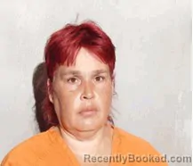 Mugshot of Felicia Jean Johnson booked in Lucas County, Ohio on July 27, 2026