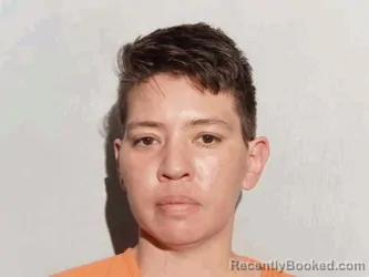 Mugshot of Dominique Kardatzke Kongvongsay booked in Lucas County, Ohio on August 20, 2026